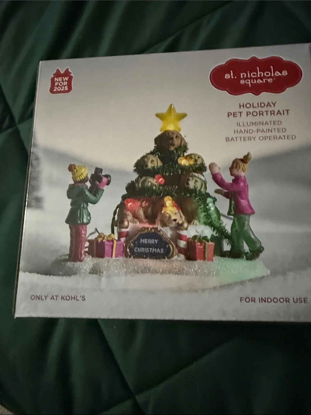 St. Nicholas Square Holiday Pet Portrait Illuminated Figurine - Green